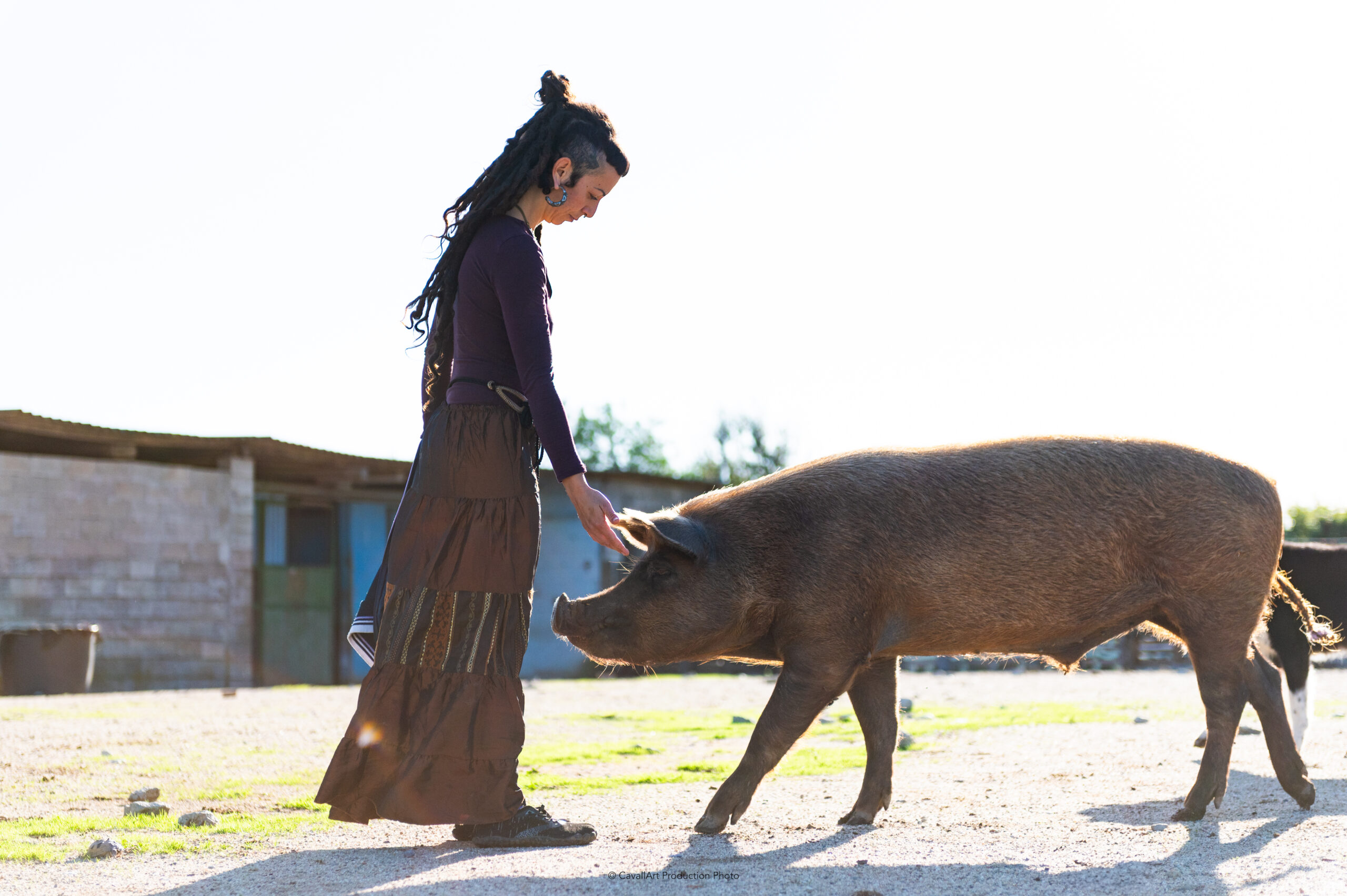 jessica pontis pt 2 (9)