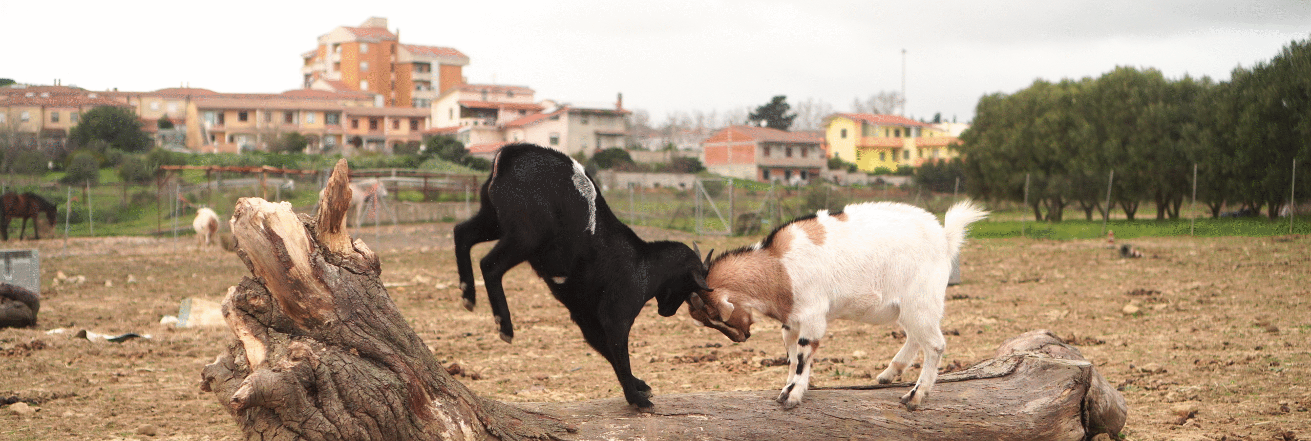 vlcsnap 2022 02 06 19h04m20s134