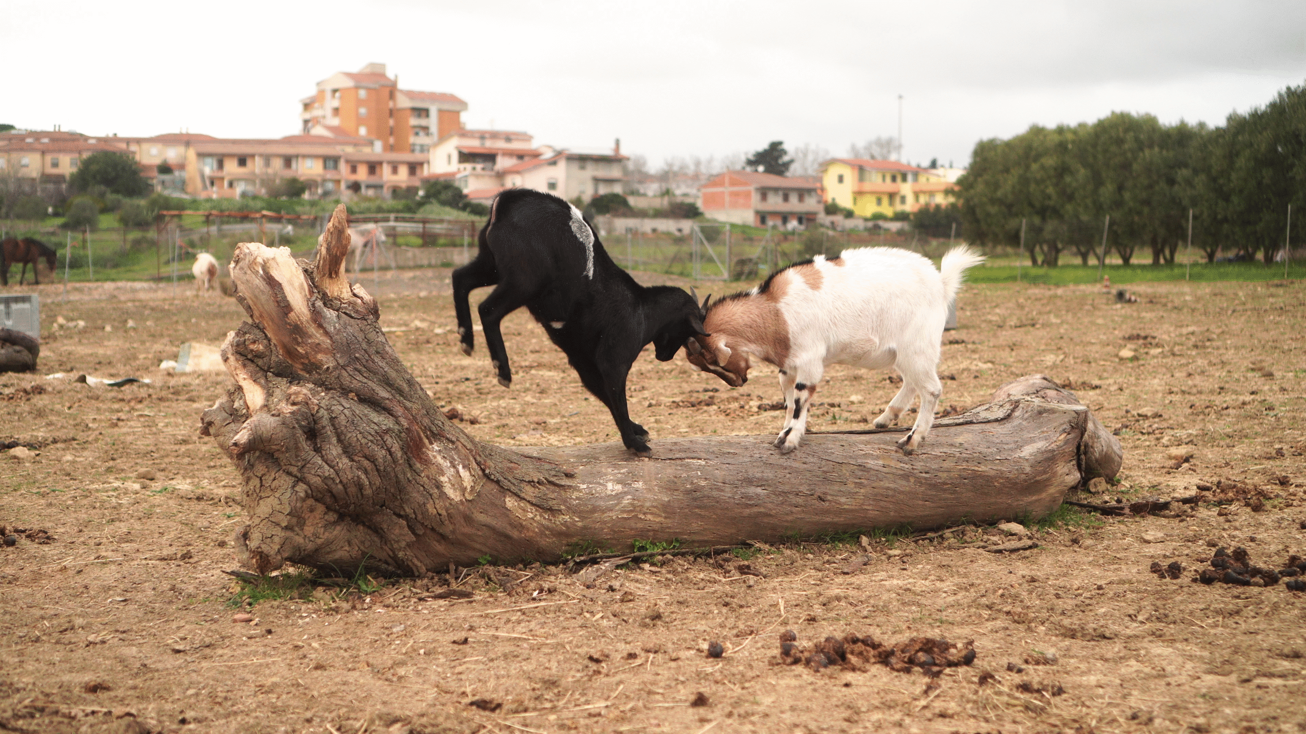 vlcsnap 2022 02 06 19h04m20s134